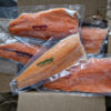 salmon trout char fillets