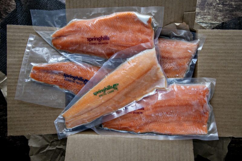 salmon trout char fillets