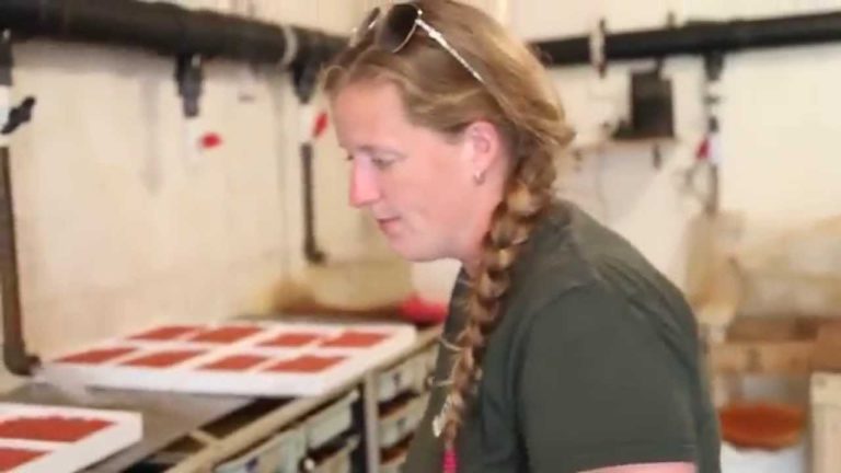 woman fish farmer getting live eggs in fish hatchery