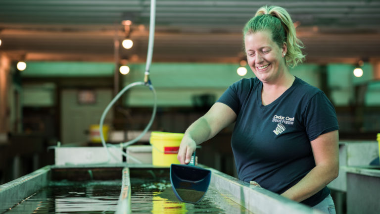 woman feeding fish on farm