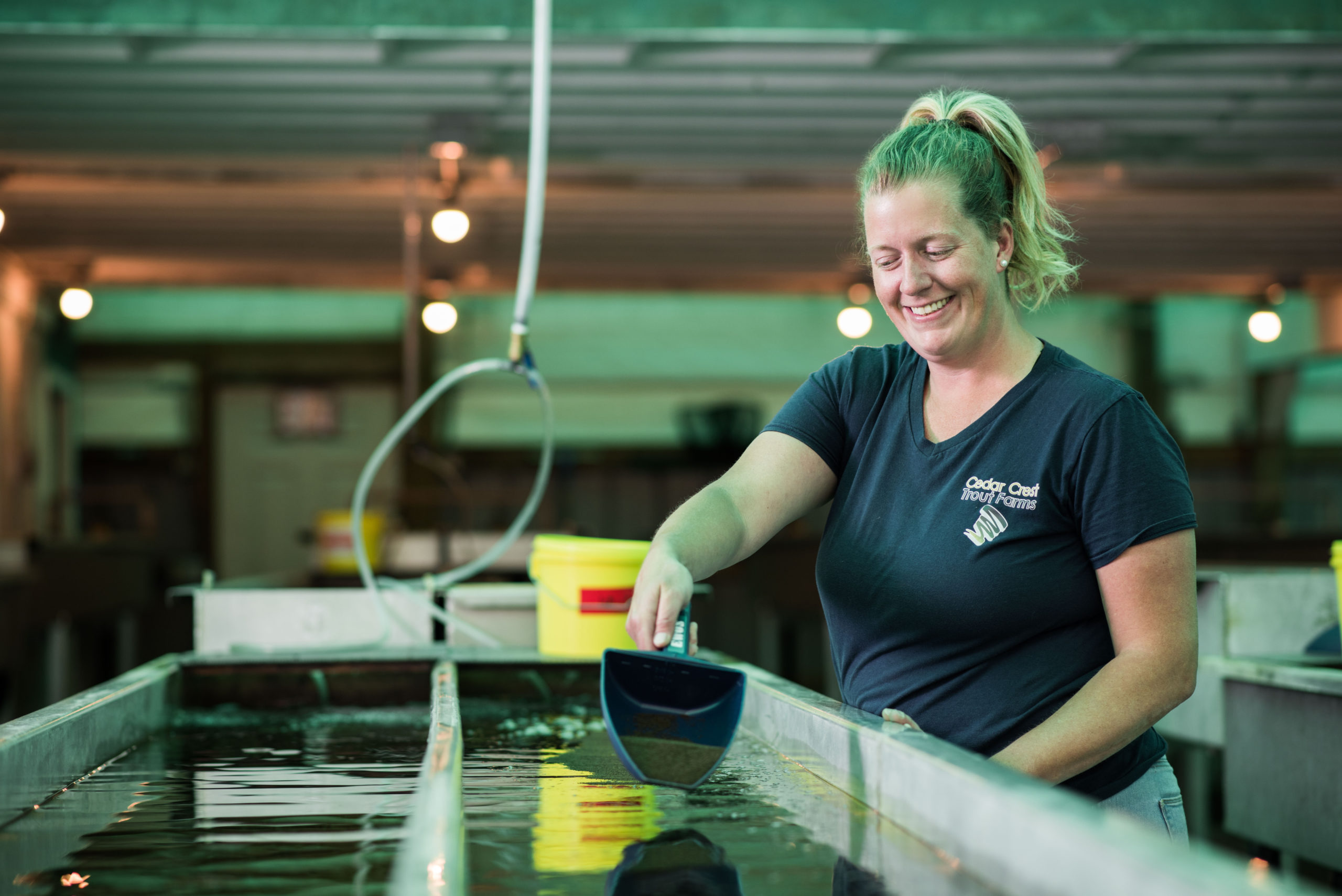 woman feeding fish on farm