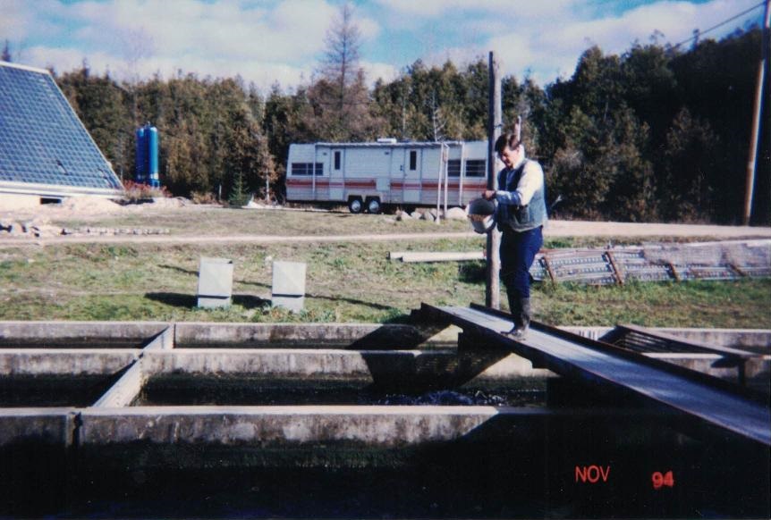Old photo Jim Taylor working on Ontario fish farm