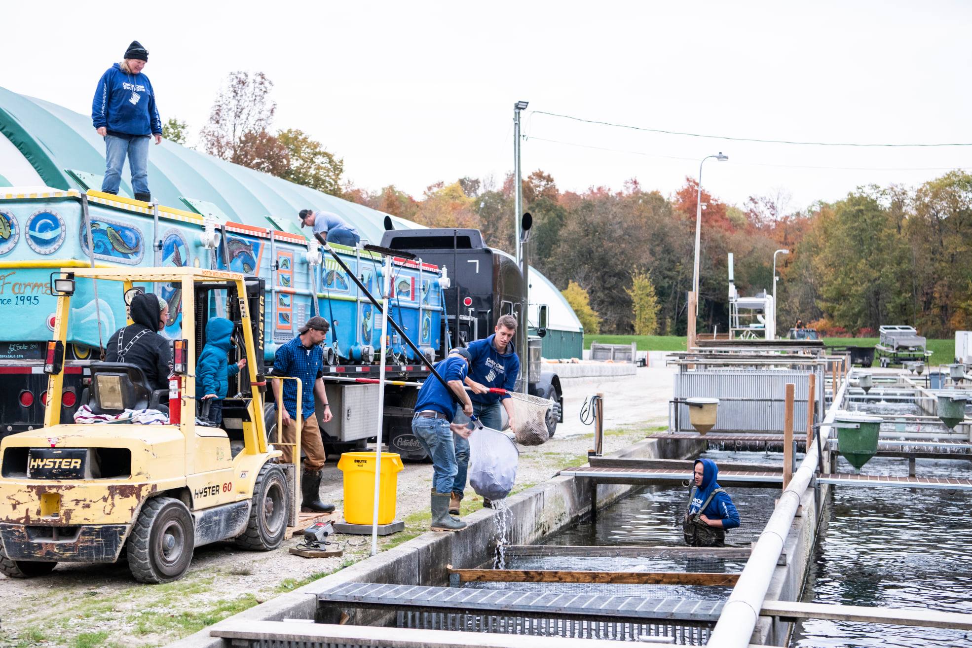 fish farm with many people doing work