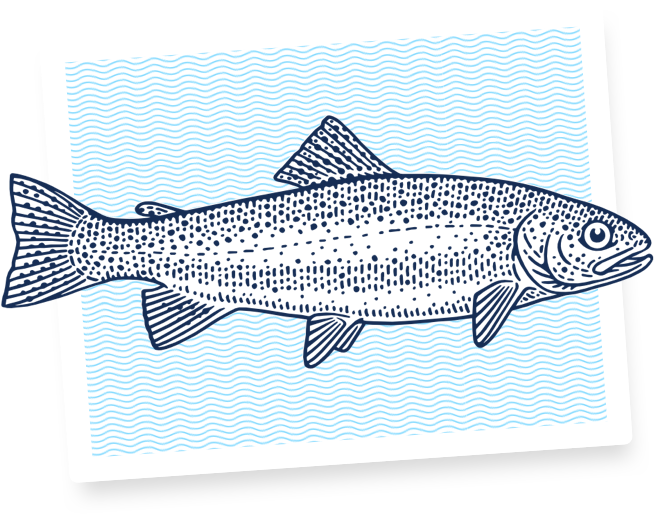 fish icon