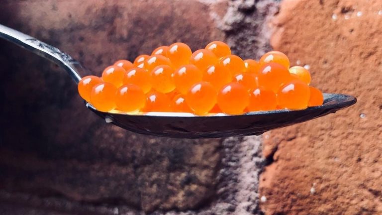 orange rainbow trout eggs roe on spoon