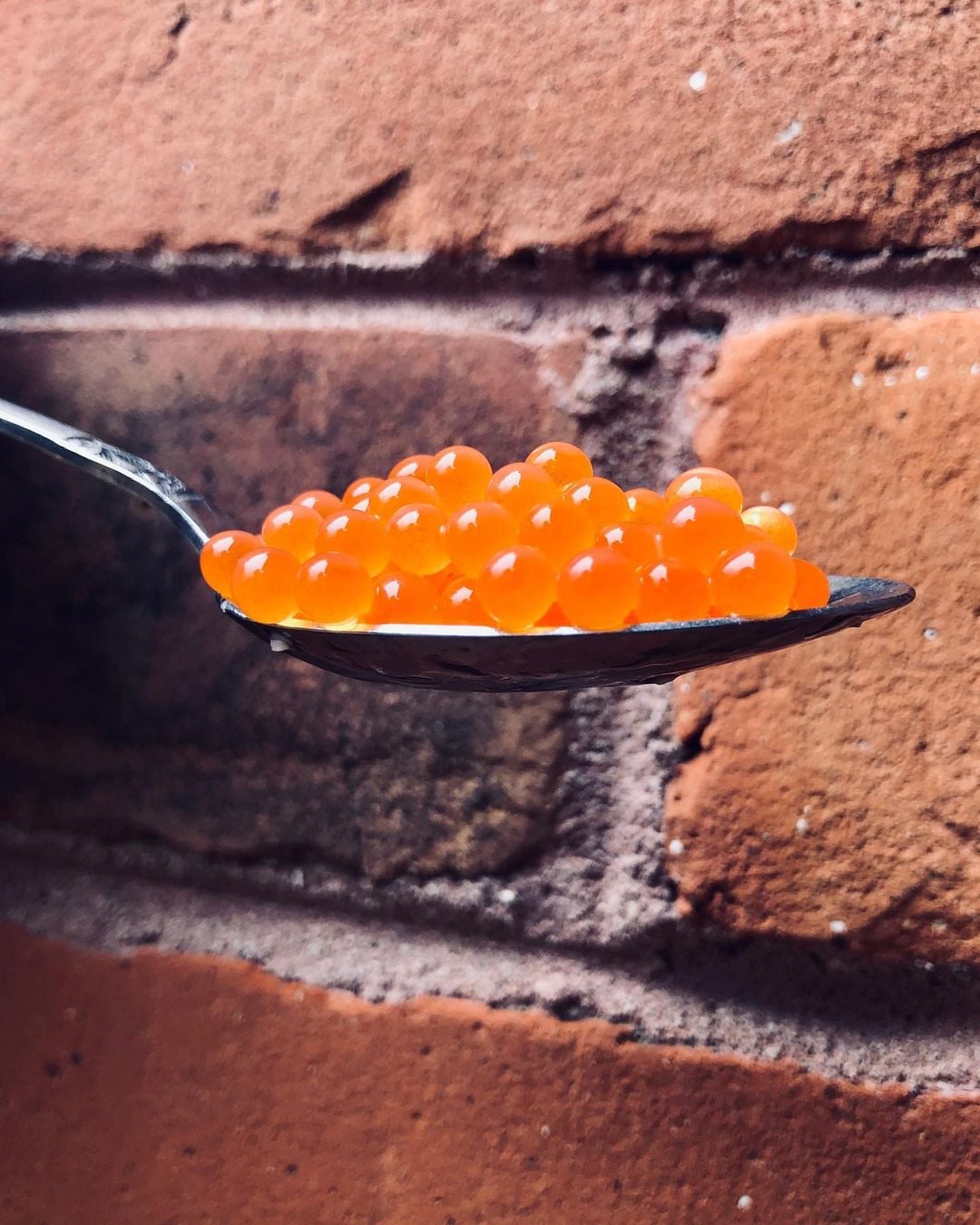 orange rainbow trout eggs roe on spoon