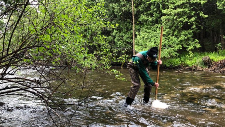 river biologist taking samples at fish farm