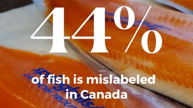 fish mislabelling fraud statistic