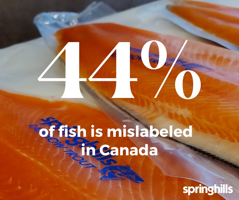 fish mislabelling fraud statistic