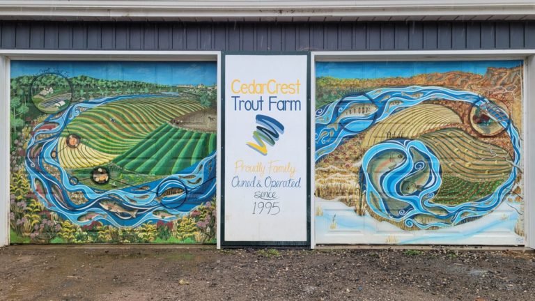 fish murals showing fish lifecycle on fish farm