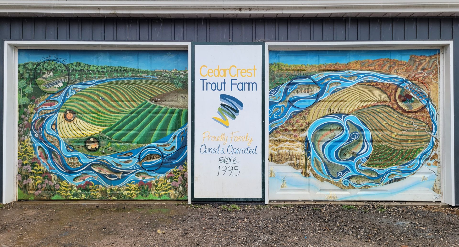 fish murals showing fish lifecycle on fish farm