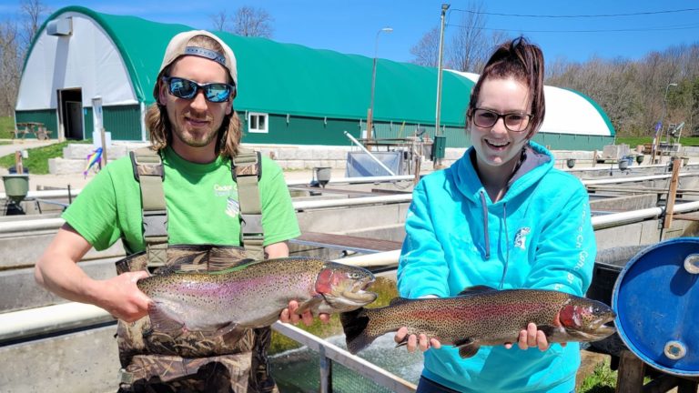 man and woman with live rainbow steelhead trout on fish farm