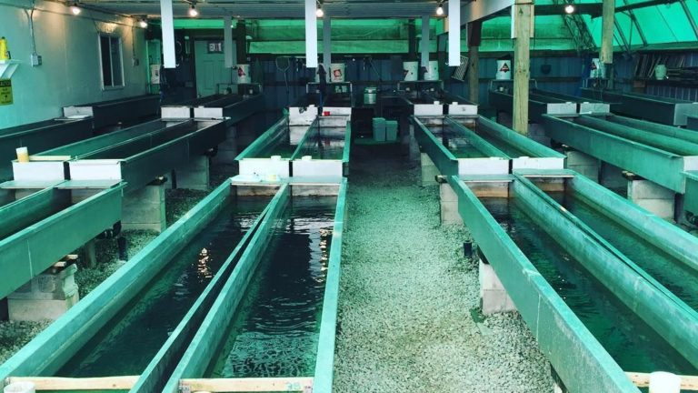 fish farm troughs aquaculture is agriculture sign