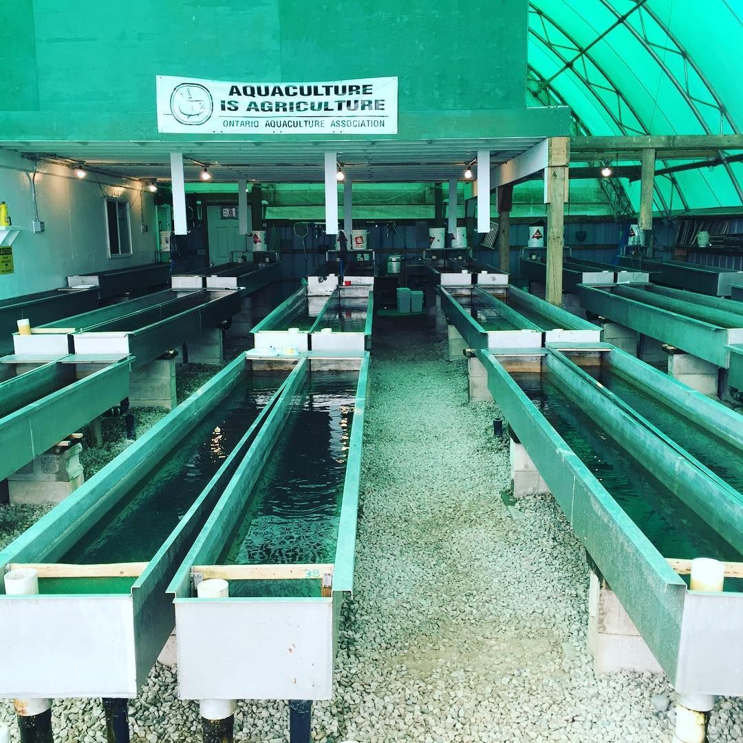 fish farm troughs aquaculture is agriculture sign