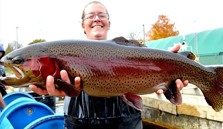 Woman posing with rainbow trout