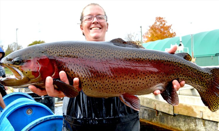 Woman posing with rainbow trout