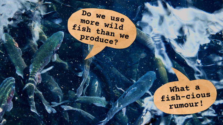 farmed fish use more wild fish than produces cartoon