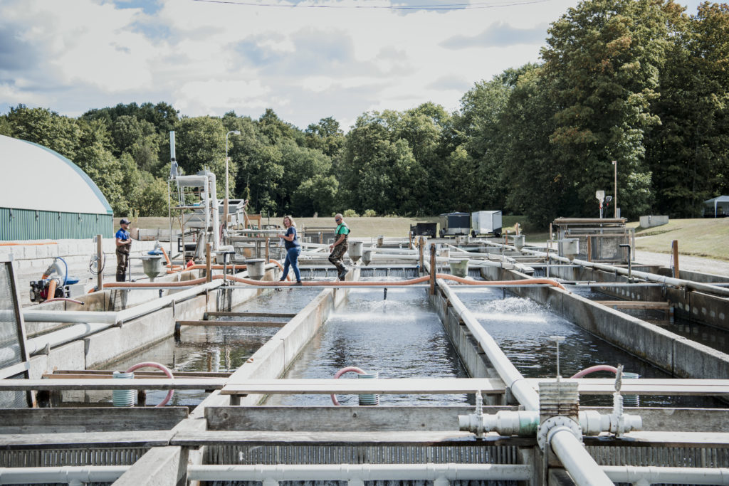 people on fish farm fish tanks outside