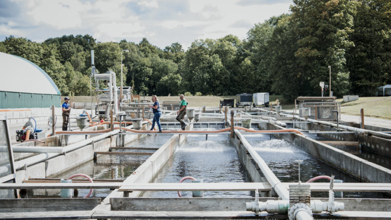 people on fish farm fish tanks outside