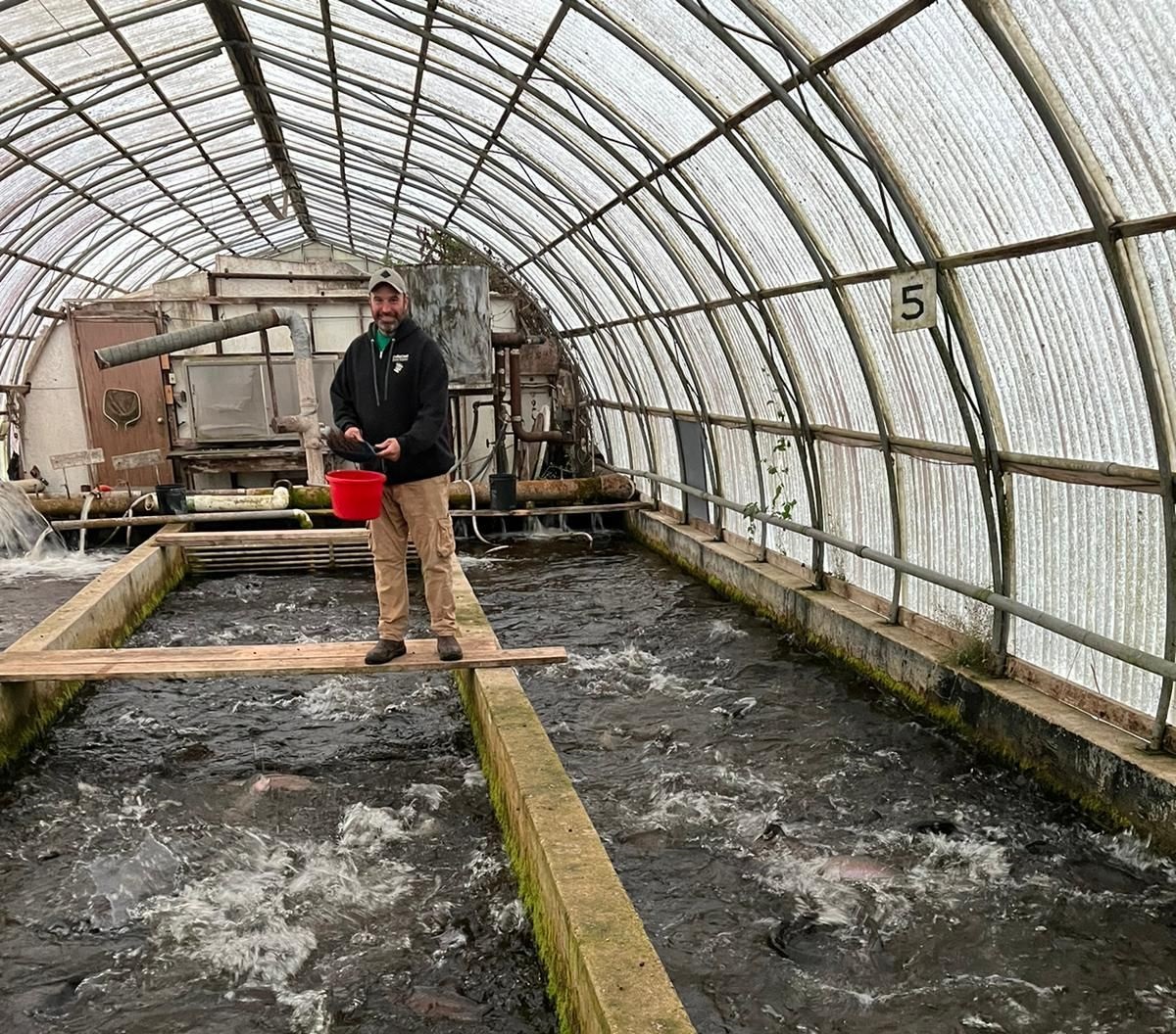 man feeding fish on fish farm