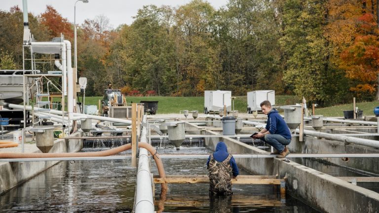 fish farm in fall