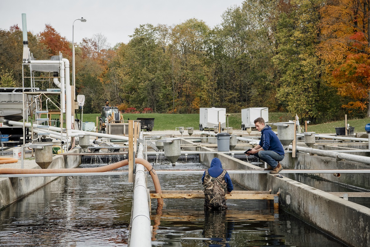 fish farm in fall