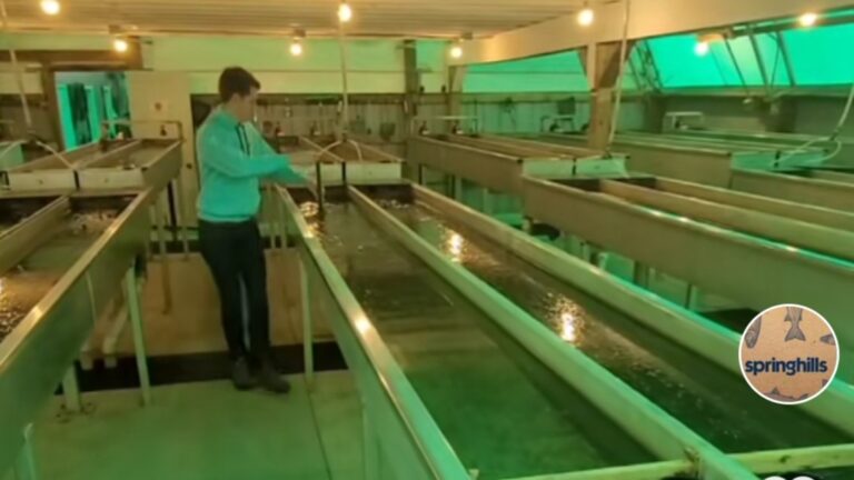 fish farm tank cleaning