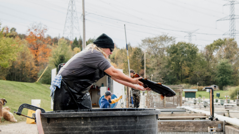 woman with trout on fish farm