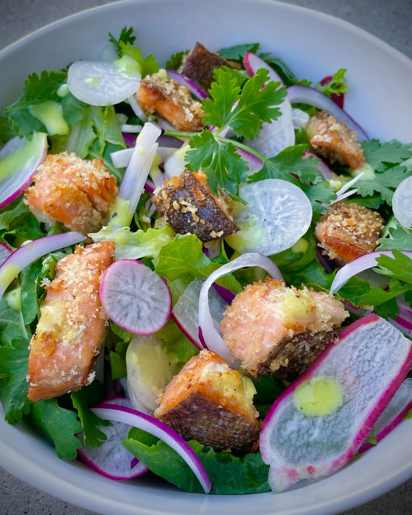 salmon radish salad