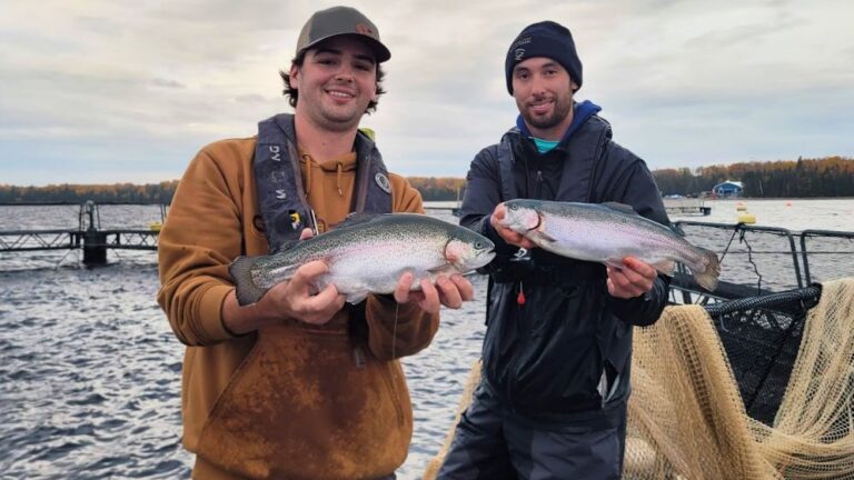 Two fish farmers holding salmon trout